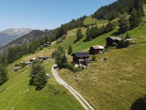 a small village on a green hill with a road at Traditional chalet in the heart of nature in Sarreyer