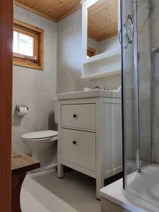 een badkamer met een toilet, een wastafel en een douche bij Traditional chalet in the heart of nature in Sarreyer