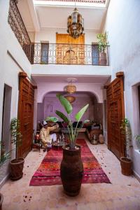 a living room with a potted plant on a rug at Riad Osawa in Marrakech