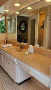 a bathroom counter with a sink and a large mirror at Spacious Beach House Unit,Beautifully Furnished 2 Bed 2Bath./2Min.Walk To Beach in Clearwater Beach