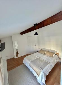 Spacieux & Charmant 2 chambres - Lyon Bron Eurexpo في برون: غرفة نوم بسرير كبير في غرفة