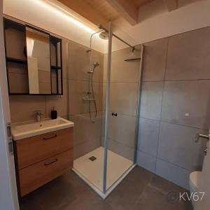 a bathroom with a shower and a sink and a toilet at Jogilation in Sankt Jakob im Walde