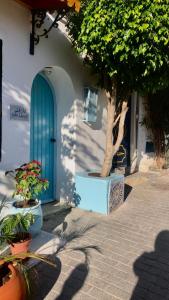 a tree in a pot next to a building with a blue door at Dar Lahlou in Tangier