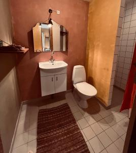 a bathroom with a toilet and a sink and a mirror at Bygagergaard in Askeby