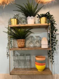 a wooden shelf with glasses and plants on it at La trilogie de Pagnol by K6 in Aubagne