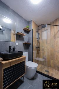 uma casa de banho com um lavatório, um WC e um chuveiro em Lynx Apartment em Mavrovo