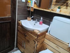 a bathroom with a sink and a toilet at Vila Antić in Pirot