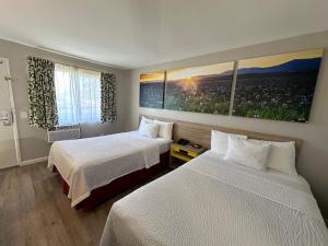 a hotel room with two beds and two windows at Days Inn by Wyndham San Marcos in San Marcos