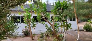 a white house with trees in front of it at MANGROVE BEACH in Sanyang