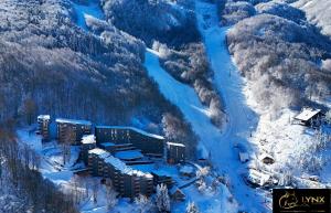 an aerial view of a resort in the snow at Lynx Apartment in Mavrovo