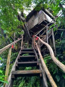 una casa en el árbol con escaleras que conducen a ella en Castle Tree House And Bungalow, en White Sands