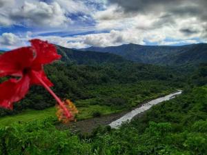 a red flower is flying over a river at Castle Tree House And Bungalow in White Sands