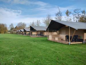a row of tents in a field with grass at Camping Alkenhaer Appelscha Trekkerstent Safaritent in Appelscha