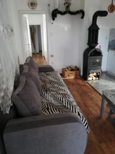 a living room with a couch and a stove at Apartman Mila in Ostrovo