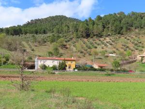 a house in a field with a mountain in the background at Casa rural LAS TABLAS in Riópar
