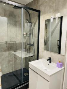 a bathroom with a shower and a sink and a mirror at Studio cosy 