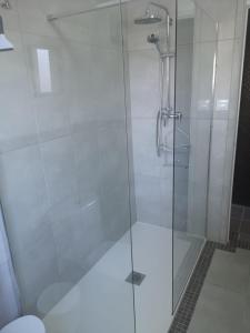 a shower with a glass door in a bathroom at Vegan garden Apartment in Cuevas del Almanzora
