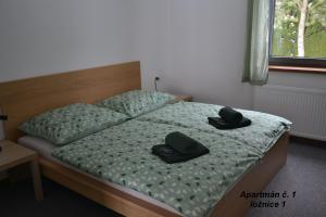 Gallery image of Apartmány Benátky in Suchdol nad Lužnicí