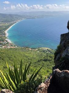 uma vista para a praia e para o oceano em T3 Proche des plages - Calme - Parking privé em Le Diamant