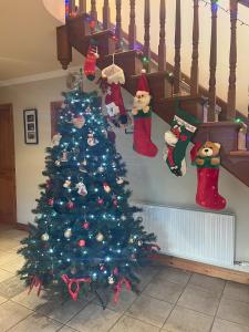 Foto dalla galleria di PK Lodge Bed and breakfast a Skibbereen