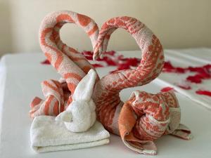 two wrapped snakes sitting on top of towels at Santa Claus Hilltop in San Vicente