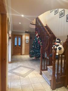 Foto dalla galleria di PK Lodge Bed and breakfast a Skibbereen