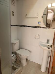 a bathroom with a toilet and a sink and a mirror at Hostal Ostello Amadeus in Arica