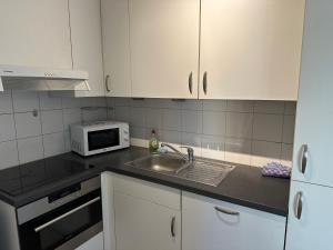 a kitchen with a sink and a microwave at 2 Bedroom Apartment in Center with Balcony in Brussels