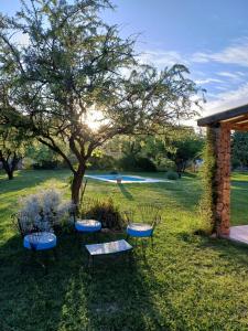 a group of benches and a tree in a yard at Las Guardia in Cortaderas