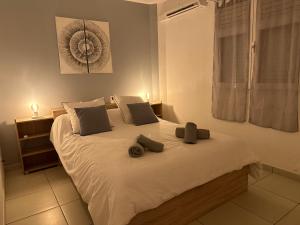 Voodi või voodid majutusasutuse Appartement Ti Vaniy, T3, Anse Mitan, Trois ilets, Martinique toas