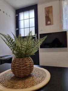 eine Pflanze in einem Korb, der auf einem Tisch liegt in der Unterkunft Agréable Logement / Netflix in Saint-Pierre-des-Corps + 2 Fotos