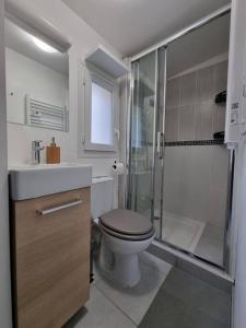 a bathroom with a toilet and a shower and a sink at Agréable Logement / Netflix in Saint-Pierre-des-Corps