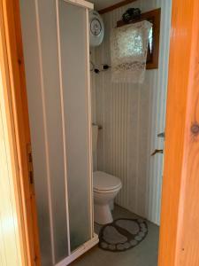 a small bathroom with a toilet in a room at Cottage in Torvaianica