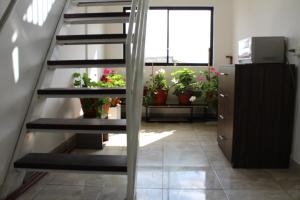 Fotografie z fotogalerie ubytování JULIUS Hostal v destinaci Quito