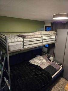 Pokój z 2 łóżkami piętrowymi w pokoju w obiekcie Trivelig studioleilighet på byåsen med treningsrom, uteareal og parkering w mieście Trondheim