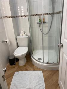 a bathroom with a shower and a toilet in it at Aldgate flats in London