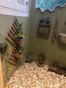 Casa Temporada recanto de minas في تيرادينتيس: غرفة مع مجموعة من النباتات الفخارية على الحائط