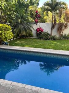 une piscine bleue avec des palmiers dans une cour dans l'établissement Quinta Eloísa, à Cuernavaca