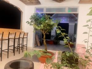 Gallery image of HomeStay KV2 in Bình Thủy
