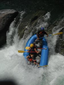 Majutusasutuse Jungle River Lodge külastajad