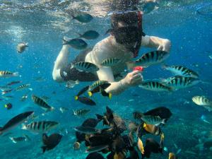 a person feeding fish in the water at Jiva Bungalow in Nusa Lembongan