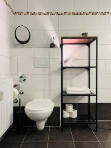 ein Badezimmer mit einem WC und einem Regal mit Handtüchern in der Unterkunft Duplex Loft mit Garten in Magdeburg