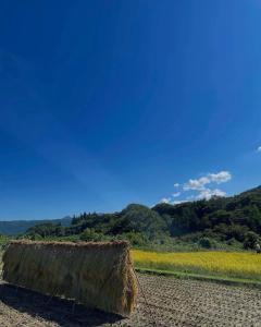 Higashiagatsumaにある麻の里の宿asanone。岩櫃山に佇む1日1組限定の古民家一棟貸し宿。の花畑のある畑の茅葺き屋根 +30枚の写真