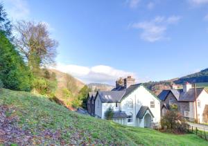 a group of houses on the side of a hill at Oswalds Cottage in Dinas Mawddwy