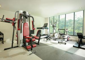 Fitness centrum a/nebo fitness zařízení v ubytování Elements by Rosetta