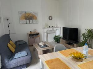 a living room with a couch and a table at Charmant appartement T2 plein centre ville in Saint-Brieuc