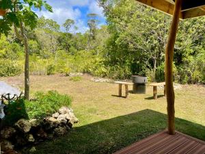 a backyard with a picnic table and a grill at Ô Naturel Lodge Lifou in Lifou