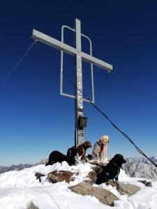 Pension Alpin during the winter