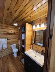 een badkamer met een wastafel en een toilet bij Jewel Branch Cabin in Erwin