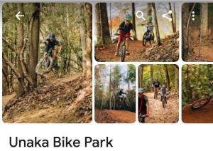 een collage van beelden van mensen die fietsen in het bos bij Jewel Branch Cabin in Erwin